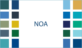 Noa logo